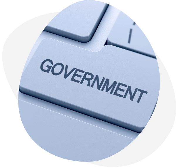 Government